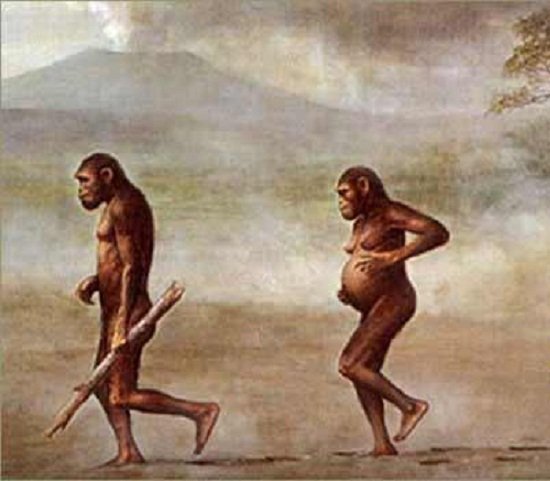 características de Australopithecus