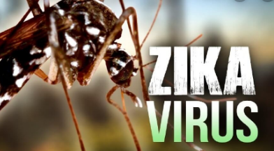 características del Zika